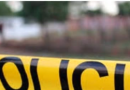 ADOLESCENTE FALLECE TRAS RECIBIR UNA DESCARGA ELÉCTRICA MIENTRAS CORTABA AGUACATES EN CHALATENANGO