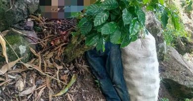 AUTORIDADES PROCESAN ESCENA DE HOMICIDIO EN UNA FINCA DE CHALCHUAPA