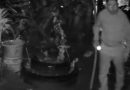 HOMBRE ES CAPTADO MIENTRAS PRESUNTAMENTE HURTABA UN CILINDRO DE GAS EN ATIQUIZAYA
