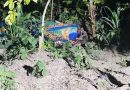 GUATEMALA; CONMOCIÓN EN HUEHUETENANGO TRAS EL HALLAZGO SIN VIDA DE UNA ADOLESCENTE Y SU ABUELO