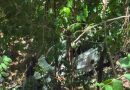 CAE CON SU VEHÍCULO A UN ABISMO DE 25 METROS Y SOBREVIVE EN JUCUARÁN, USULUTÁN