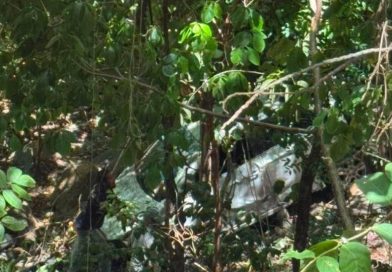 CAE CON SU VEHÍCULO A UN ABISMO DE 25 METROS Y SOBREVIVE EN JUCUARÁN, USULUTÁN