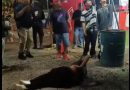 HOMBRE CAE DE JUEGO MECÁNICO “CHICAGO” EN FUN CITY, SANTA TECLA