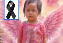 NIÑA DE 4 AÑOS MUERE TRAS SER MORDIDA POR UNA SERPIENTE BARBA AMARILLA EN GUATEMALA