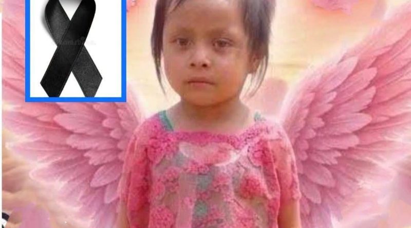 NIÑA DE 4 AÑOS MUERE TRAS SER MORDIDA POR UNA SERPIENTE BARBA AMARILLA EN GUATEMALA