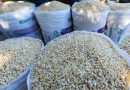 EL MAÍZ BLANCO ALCANZA HASTA $36 EL QUINTAL EN ALGUNAS ZONAS DE EL SALVADOR