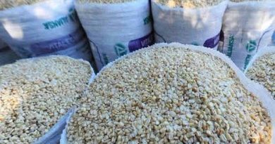 EL MAÍZ BLANCO ALCANZA HASTA $36 EL QUINTAL EN ALGUNAS ZONAS DE EL SALVADOR