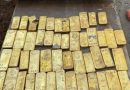 OBREROS ENCUENTRAN TESORO DE $10.4 MILLONES EN BÉLGICA: ¿QUIÉN SE QUEDARÁ CON EL ORO?