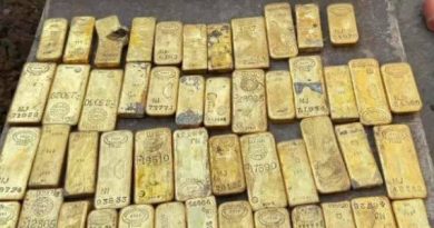 OBREROS ENCUENTRAN TESORO DE $10.4 MILLONES EN BÉLGICA: ¿QUIÉN SE QUEDARÁ CON EL ORO?