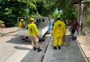 PERRO ATACÓ A VARIOS INTEGRANTES DE UNA FAMILIA EN EL ROSARIO, LA PAZ
