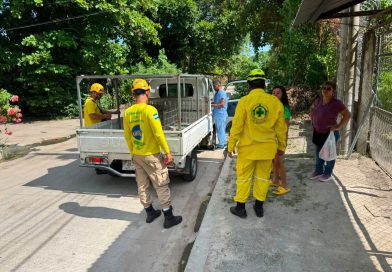 PERRO ATACÓ A VARIOS INTEGRANTES DE UNA FAMILIA EN EL ROSARIO, LA PAZ