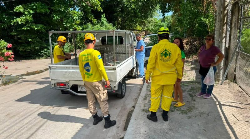 PERRO ATACÓ A VARIOS INTEGRANTES DE UNA FAMILIA EN EL ROSARIO, LA PAZ