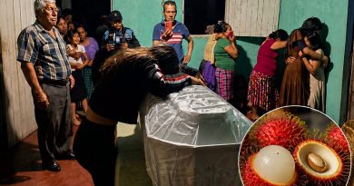 NIÑO DE DOS AÑOS MUERE TRAS PRESENTAR COMPLICACIONES AL CONSUMIR UNA FRUTA EN GUATEMALA
