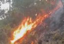 INCENDIO FORESTAL CONSUME VARIAS MANZANAS DE BOSQUE EN SAN FERNANDO, MORAZÁN