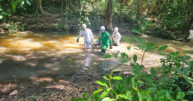 RECUPERAN CUERPO DE ADULTO MAYOR EN UNA QUEBRADA DE DIFÍCIL ACCESO EN SANTA ANA