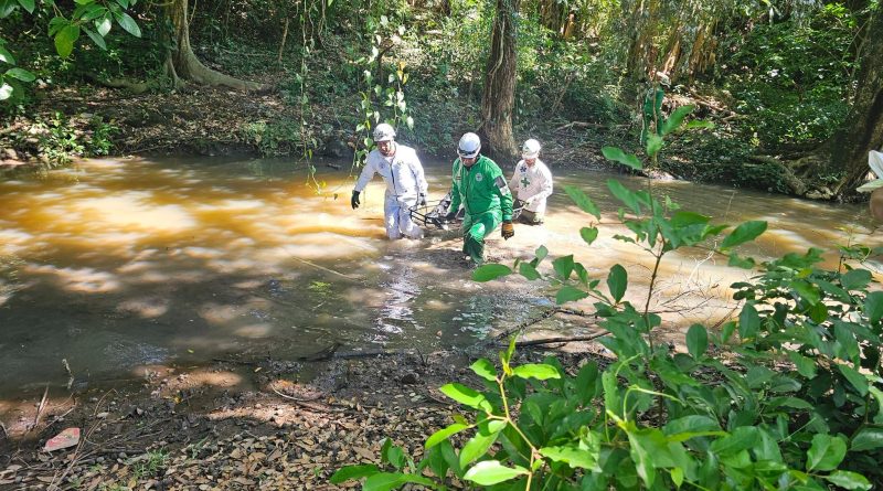 RECUPERAN CUERPO DE ADULTO MAYOR EN UNA QUEBRADA DE DIFÍCIL ACCESO EN SANTA ANA