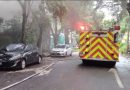 INCENDIO CONSUME VIVIENDA EN COLONIA COSTA RICA Y DEJA UNA MUJER FALLECIDA