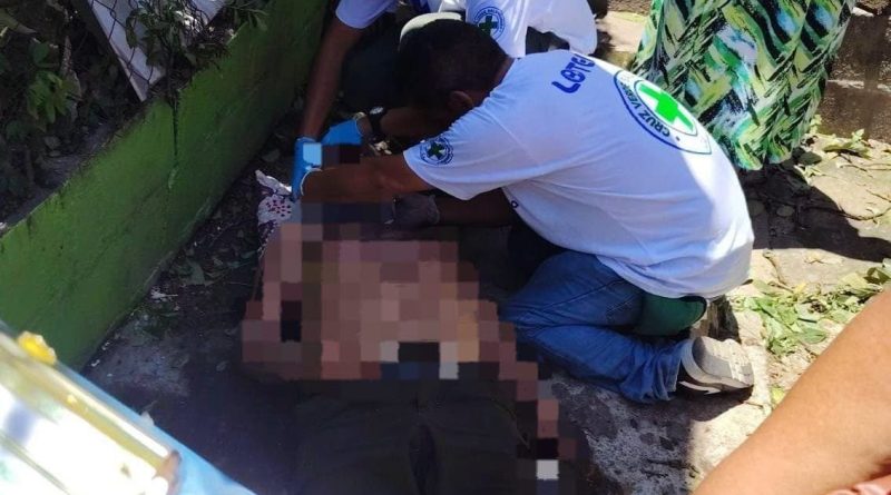 HOMBRE RESULTA LESIONADO TRAS CAER DE UN ÁRBOL EN POPOTLÁN 2