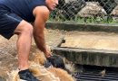 RESCATARON A NIÑA QUE FUE ARRASTRADA POR LA CORRIENTE DE AGUA EN LOS NARANJOS, JUAYÚA