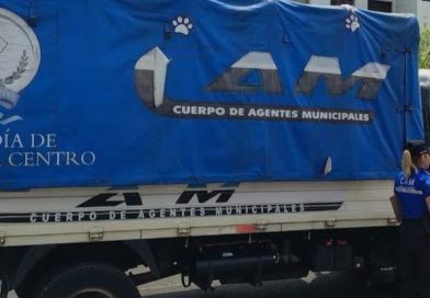 MUNICIPALIDAD DE SANTA ANA CENTRO DA SEGUIMIENTO A CASO DE CUATRO GATITOS ABANDONADOS