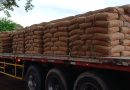 ALCALDE DE SANTA ANA CENTRO ENTREGÓ MÁS DE 6,000 BOLSAS DE CEMENTO A 58 COMUNIDADES
