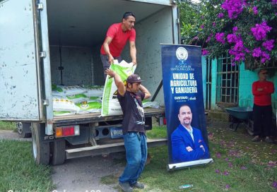 ALCALDÍA DE SANTA ANA CENTRO ENTREGA INSUMOS AGRÍCOLAS A PRODUCTORES DE CUTUMAY CAMONES Y EL MATAZANO