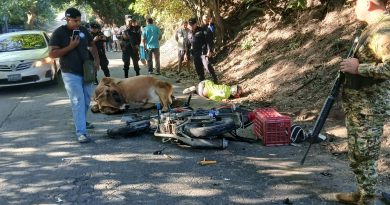 MOTOCICLISTA FALLECE TRAS IMPACTAR CONTRA UNA VACA EN CARRETERA A TAPALHUACA